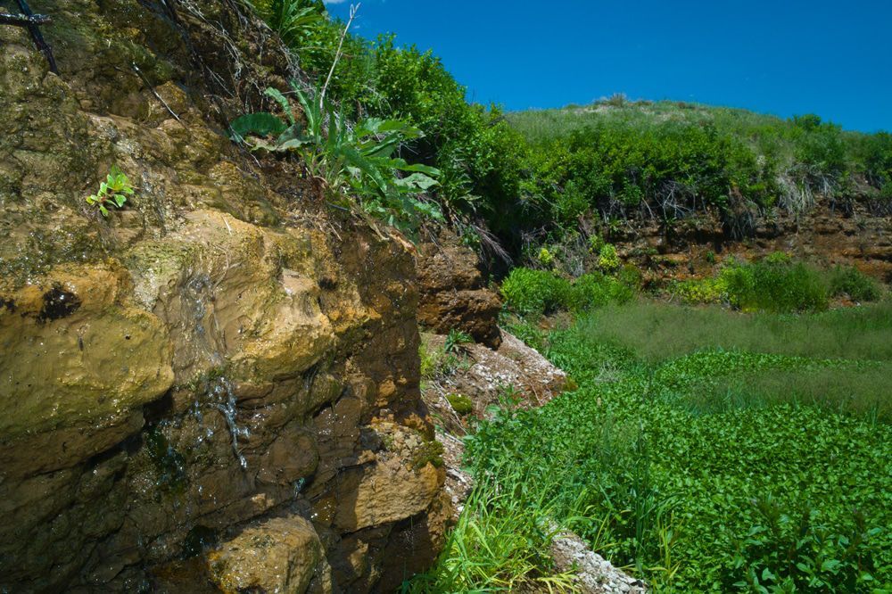 Horse Creek Basin